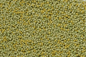 yellow/green pearls 1 kg